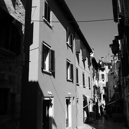 Apartman Casa Nova *